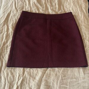 Textured Burgundy Mini Skirt